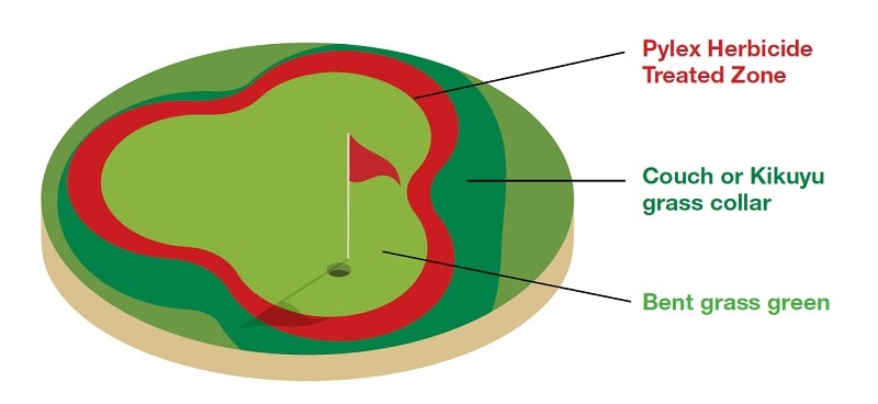 Pylex Application 1 Enroachment