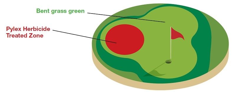 Pylex Application 2 Large Area Application