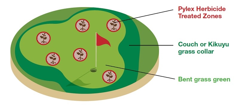 Pylex Application 3 Spot Application