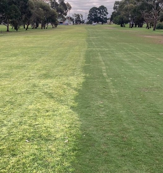 Treated Vs Untread Poa